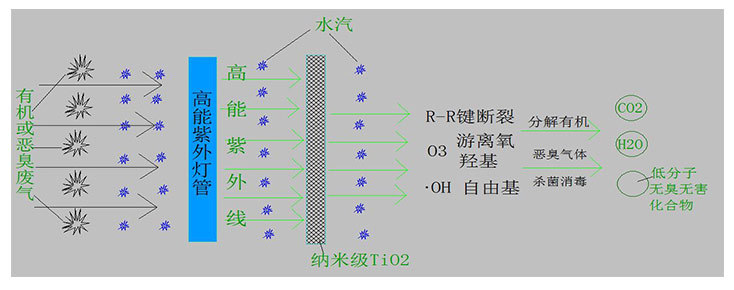 有机废气怎么处理才能达标？